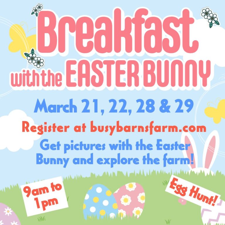 625859005 1378649910958566 5878065818021869839 n 768x768