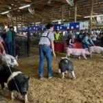 St. Croix County Fair, Inc.