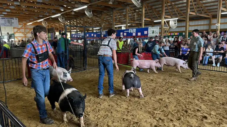 St. Croix County Fair, Inc.