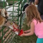 St. Croix County Fair, Inc.