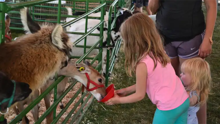 St. Croix County Fair, Inc.
