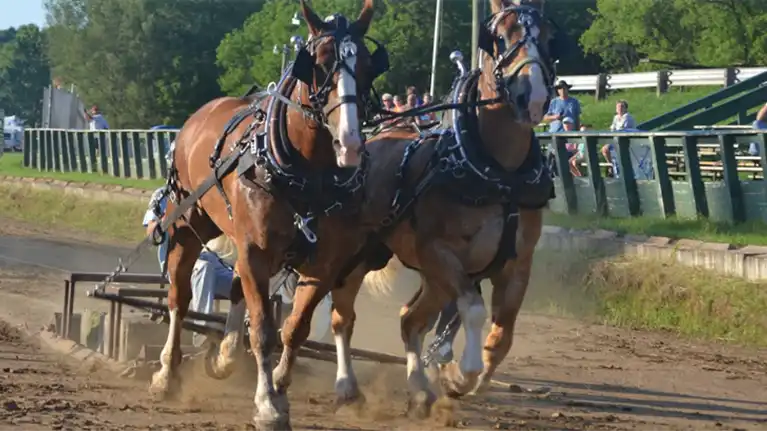 St. Croix County Fair, Inc.