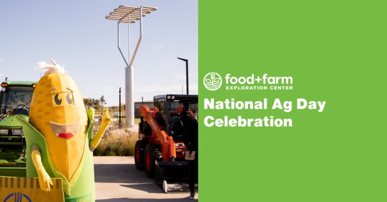 631057751 936616545375103 2034007248385890585 n 768x402