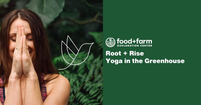 646321353 952340847136006 1278492751958694659 n 768x402