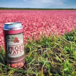 Lake Nokomis Cranberries