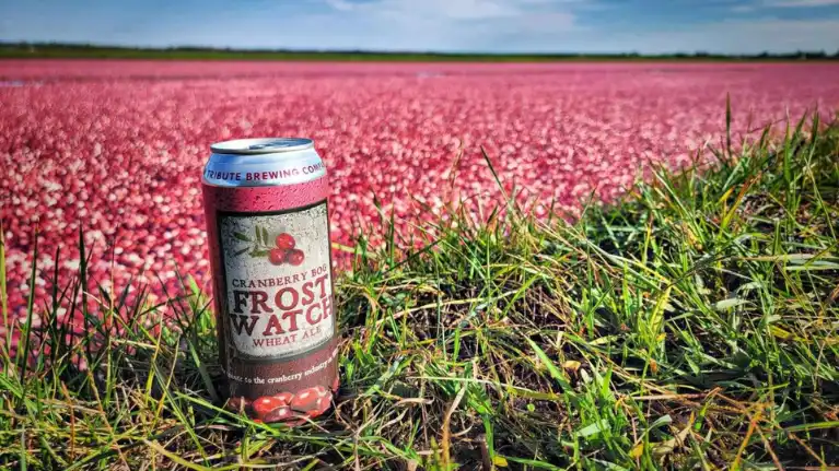 Lake Nokomis Cranberries
