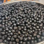 Narrows Creek Garden