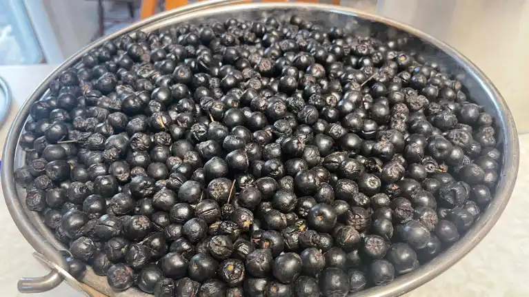 Narrows Creek Garden