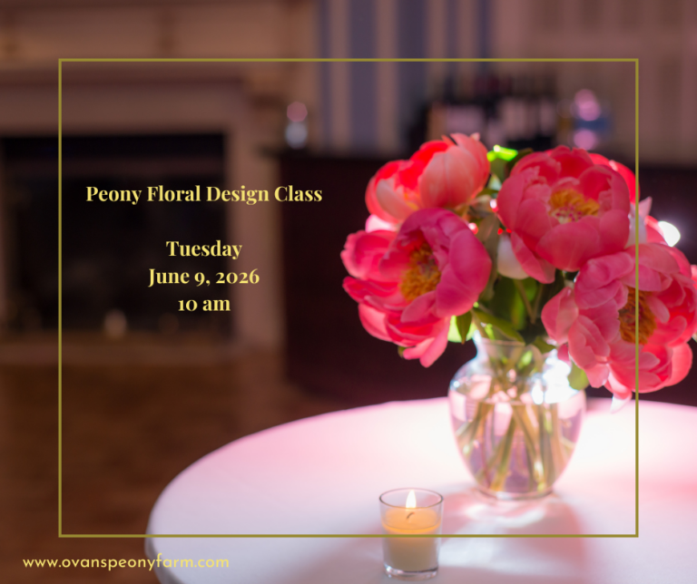 Peony Floral Design Class 768x644