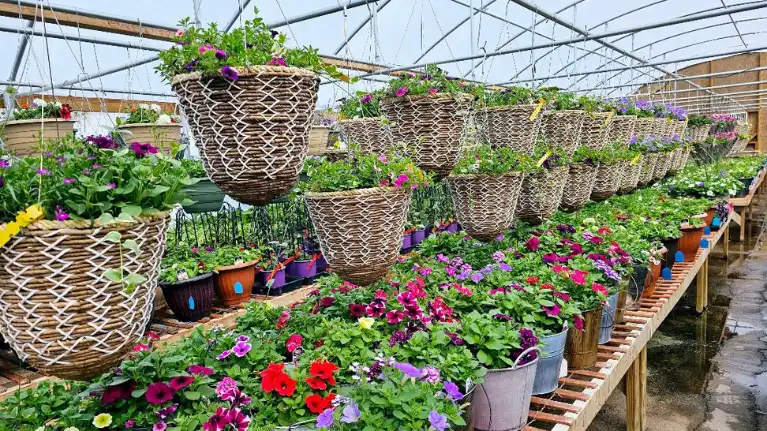 Schwertel Family Farms