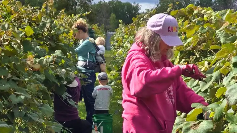 Shakin' Rock Vineyard and Winery