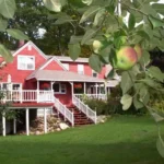 Sunset Valley Orchard