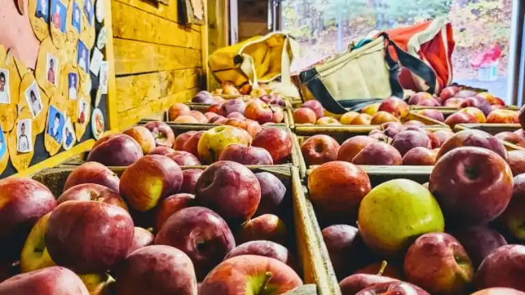 Sunset Valley Orchard