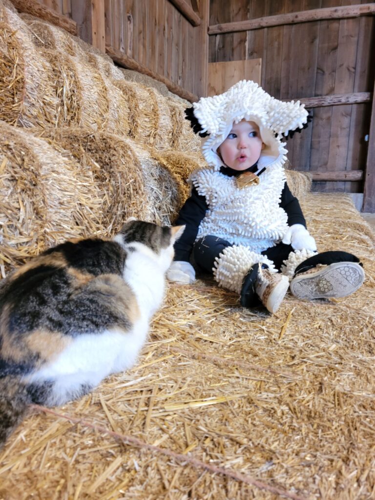 20201031 130738 768x1024