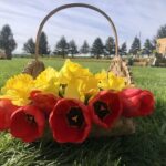 493194730 122174048996323529 8491868210143451499 n 150x150