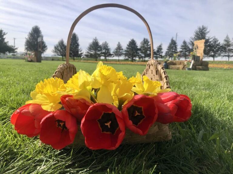 493194730 122174048996323529 8491868210143451499 n 768x576