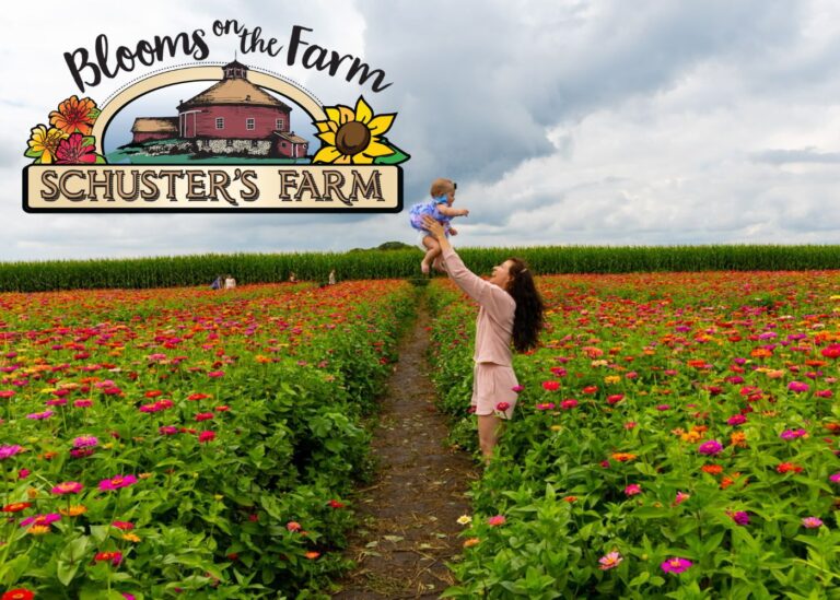 Blooms on the farm 768x549