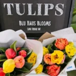 Blu Haus Farms Blu Haus Farms