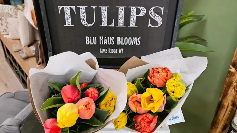 Blu Haus Farms Blu Haus Farms