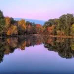 Castle Rock Petenwell Lakes Association