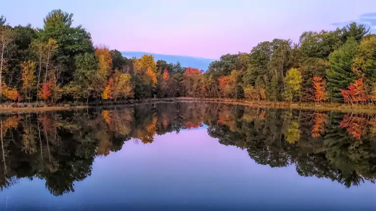Castle Rock Petenwell Lakes Association