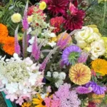 Glory & Grace Flower Farm Glory & Grace Flower Farm