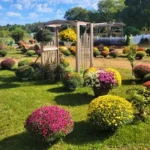Glory & Grace Flower Farm Glory & Grace Flower Farm