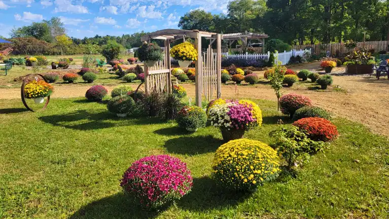 Glory & Grace Flower Farm Glory & Grace Flower Farm