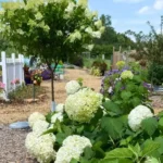 Glory & Grace Flower Farm Glory & Grace Flower Farm