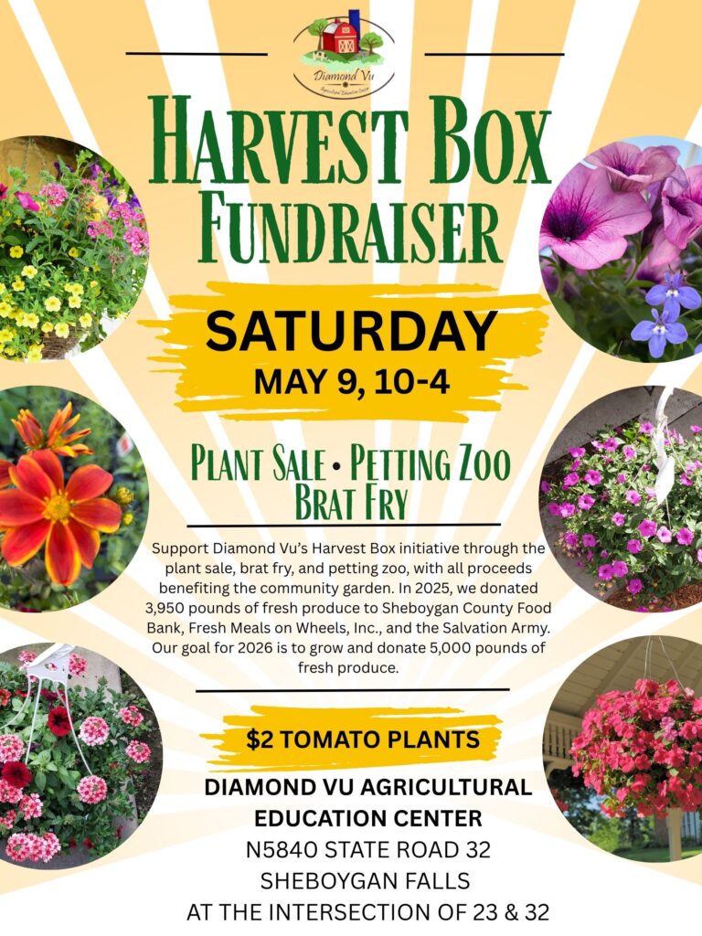 Green and Yellow Illustrated Indoor Plant Sale Poster 768x1024