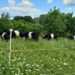 Mary's Organic Farm