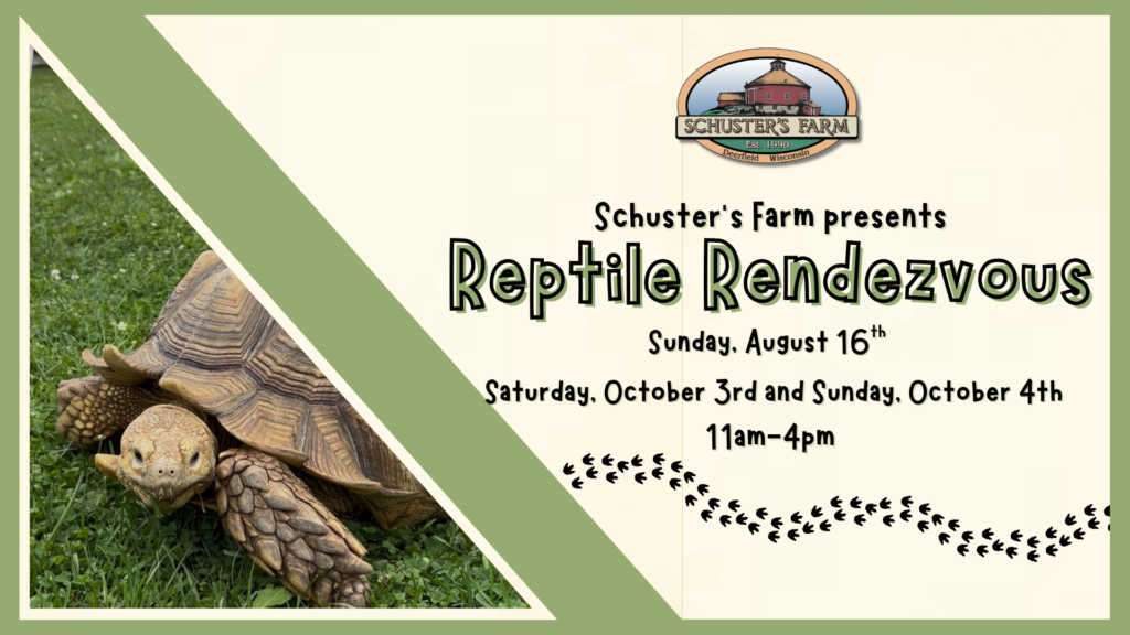 Reptile Rendezvous 1024x576