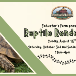 Reptile Rendezvous 150x150