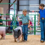 Sheboygan County Fair Association