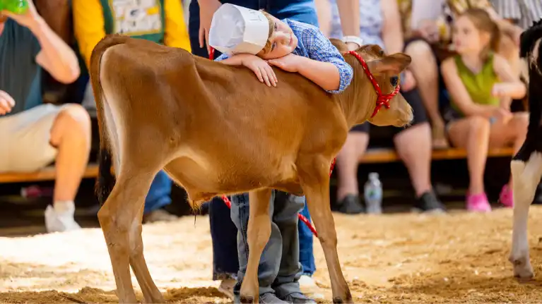 Sheboygan County Fair Association