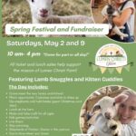 Spring Festival and Fundraiser 3 150x150