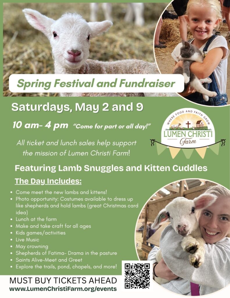 Spring Festival and Fundraiser 3 791x1024