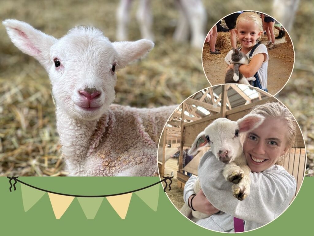 Spring Festival and Fundraiser 4 x 3 in 1 1024x768