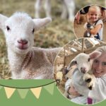 Spring Festival and Fundraiser 4 x 3 in 1 150x150