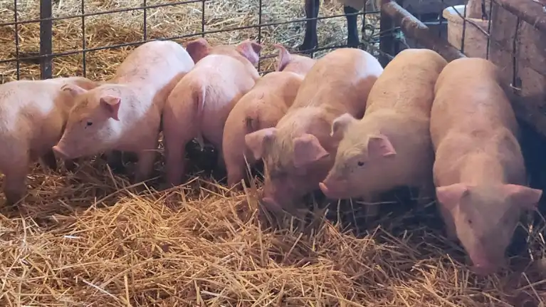 Cold Spring Farm