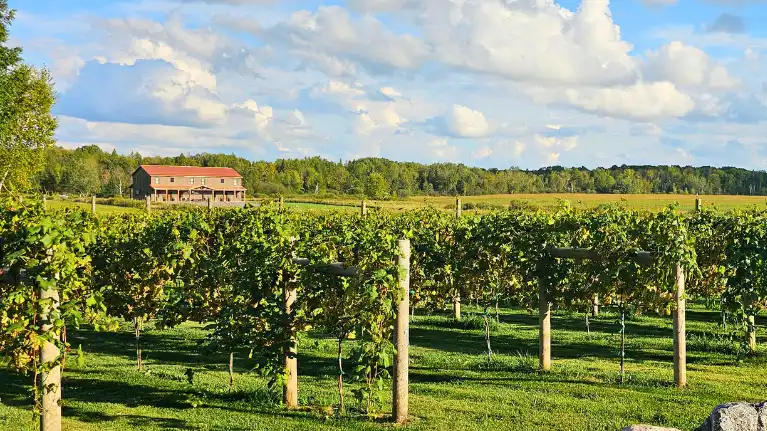 Hidden View Winery1