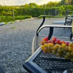 Hidden View Winery2 150x150