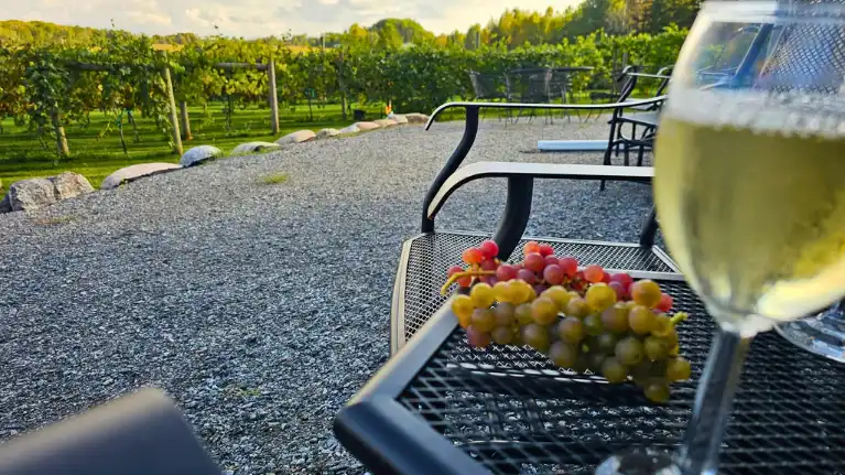 Hidden View Winery2