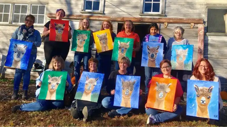 Spirit Valley Alpacas Spirit Valley Alpacas