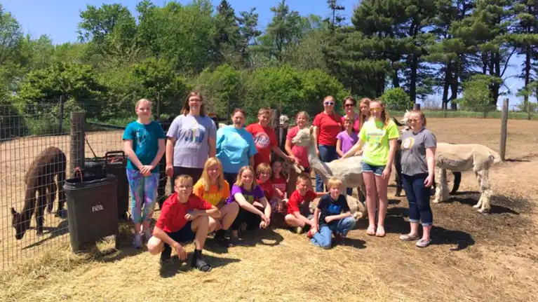 Spirit Valley Alpacas