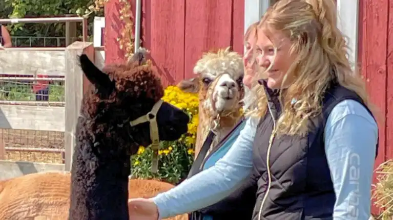 Spirit Valley Alpacas