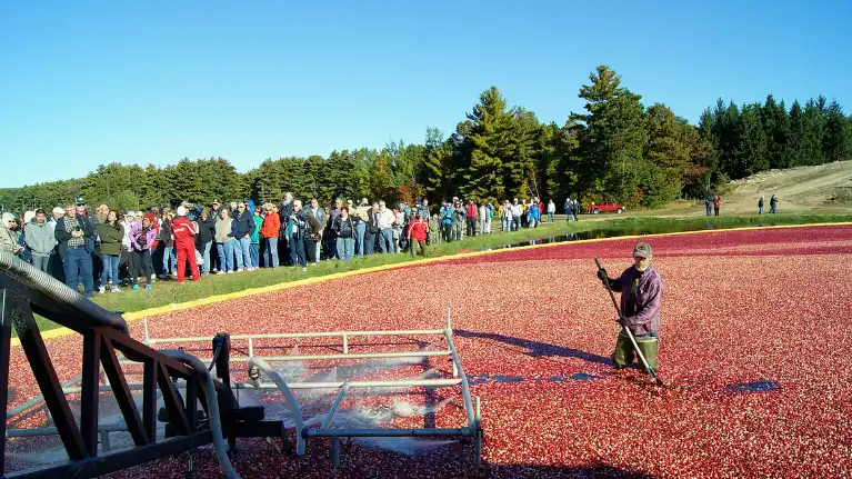 Wetherby Cranberry Company
