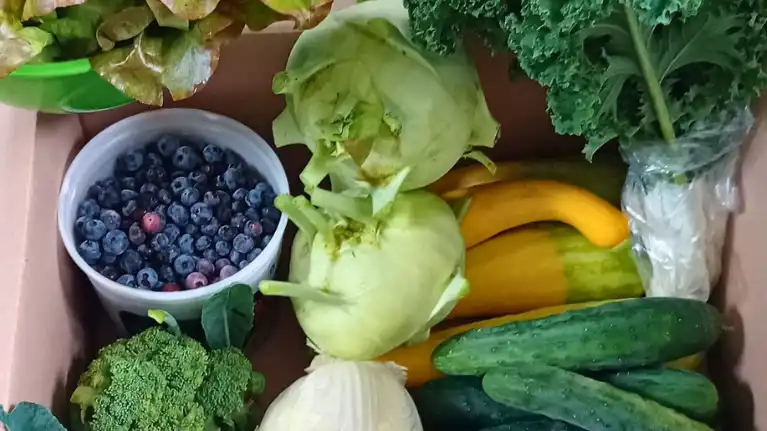 Wilkinson Farms Meat and Produce