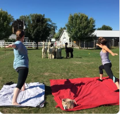 Screen Shot 2026 06 08 at 1.08.45 PM