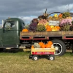 Sprangers Orchard2 150x150